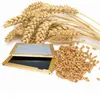 лабораторный анализ качества зерна в Воронеже