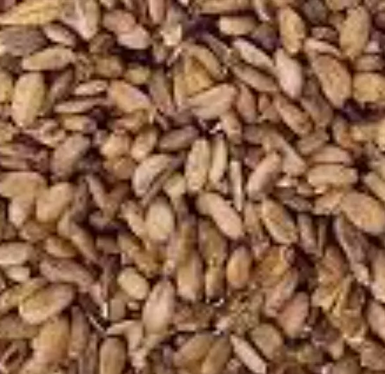 фотография продукта Семена льна коричневого (масличного)